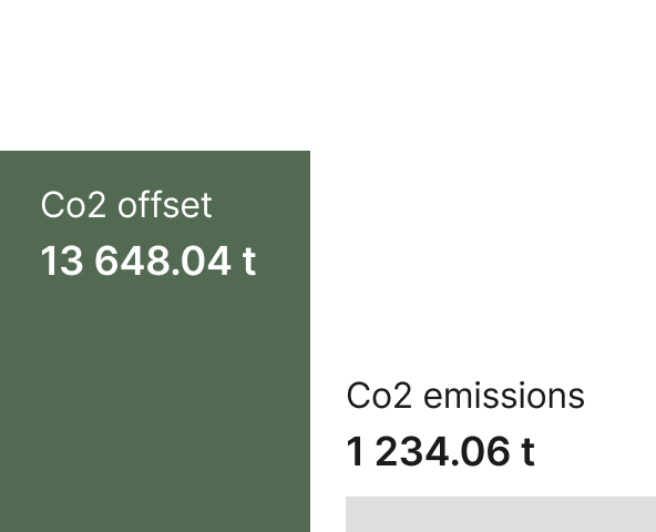 Amata CO2 emmisions vs. offset in 2020