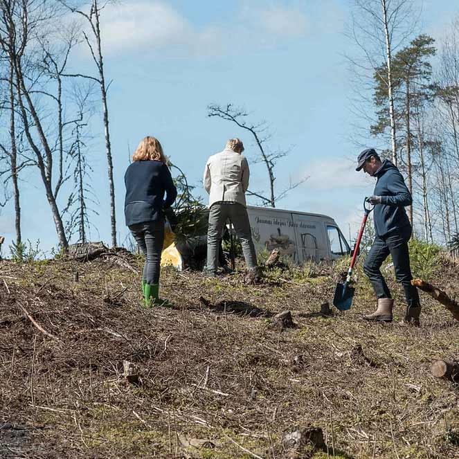 Amata team planting trees uphill