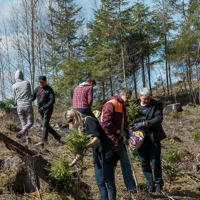 Amata team planting trees